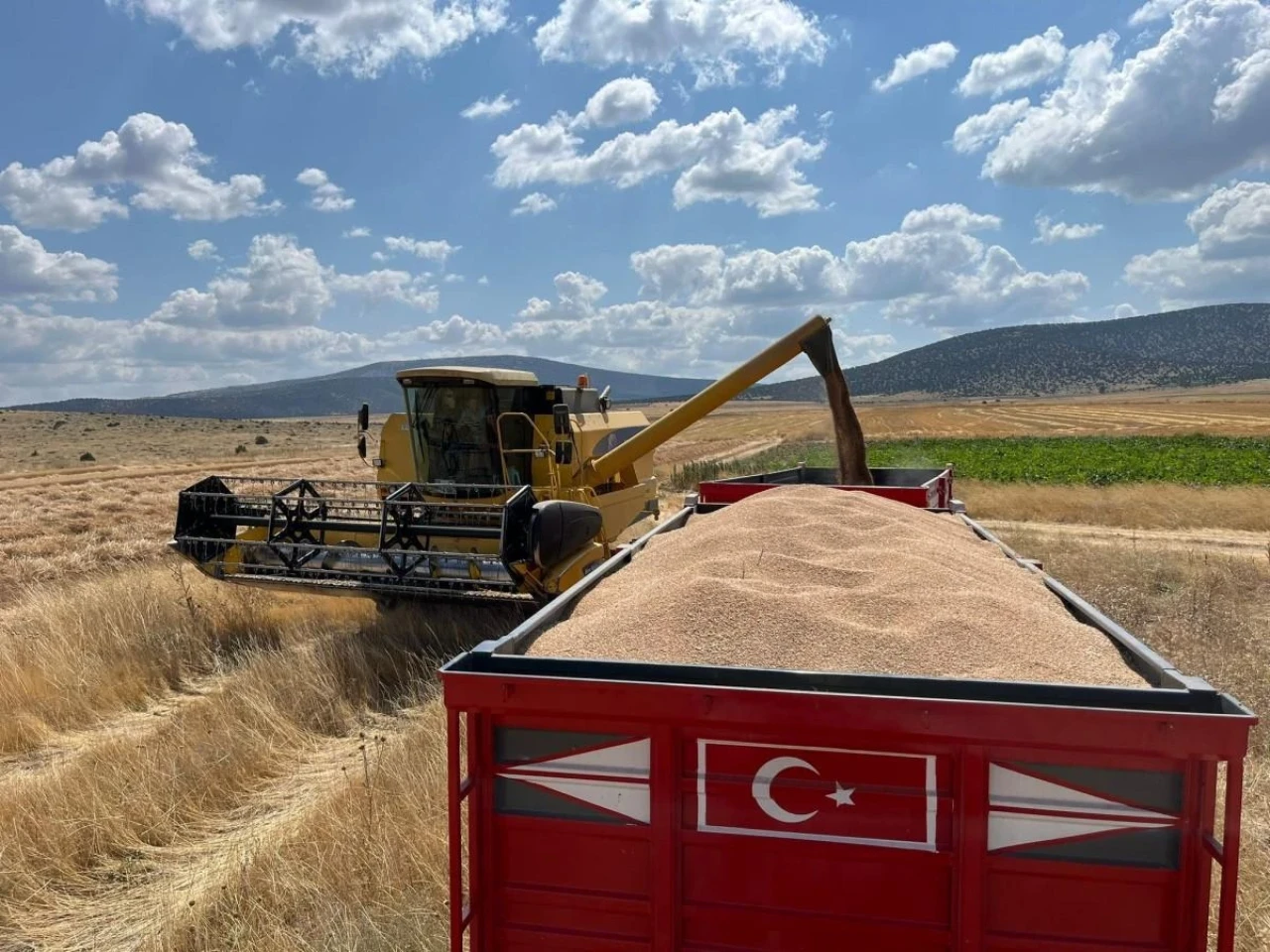 Eskişehir Çifteler İlçesinin Yüksek Verimli Hasadı