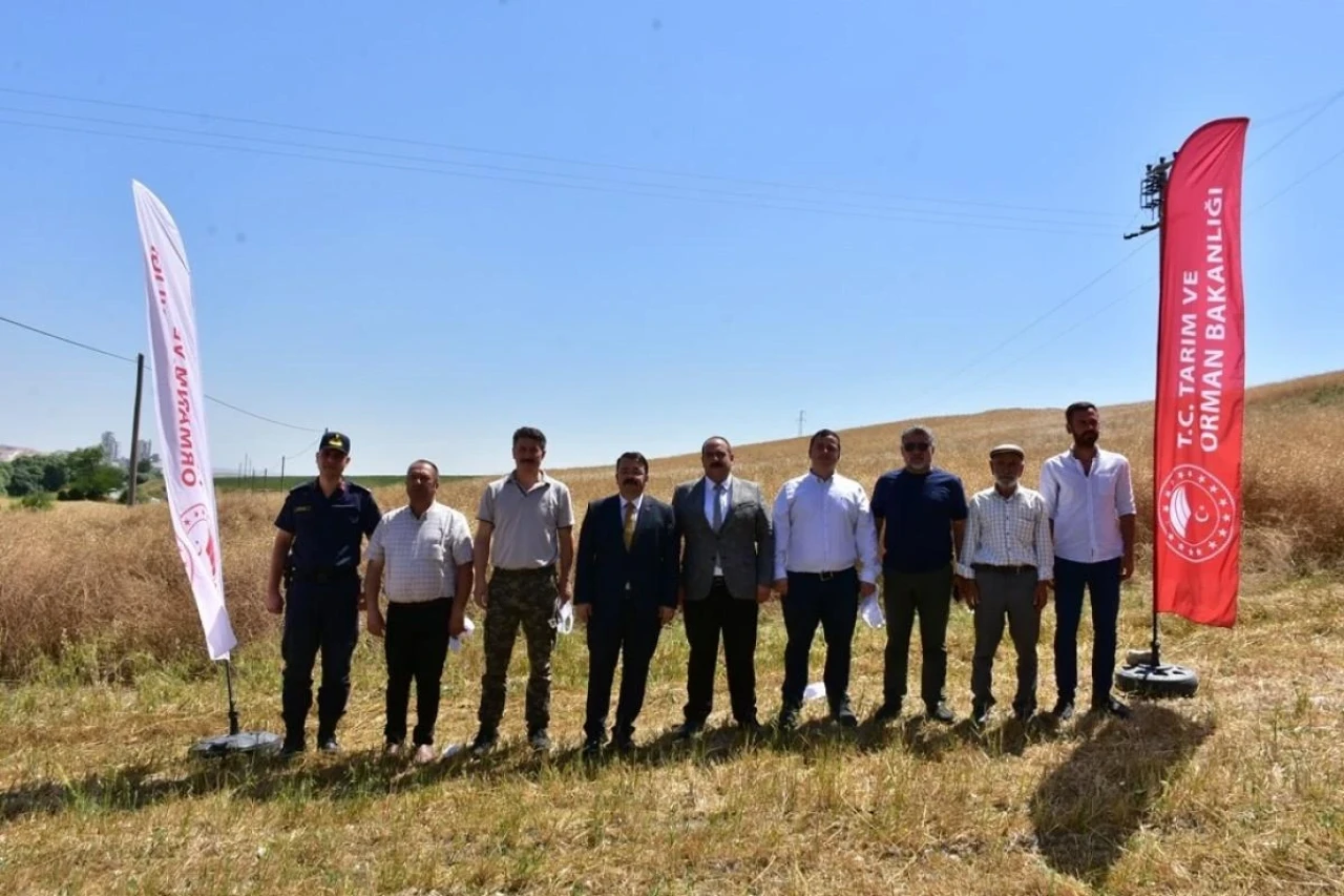 Eskişehir İnönü’de İlk Kez Kanola Hasadı