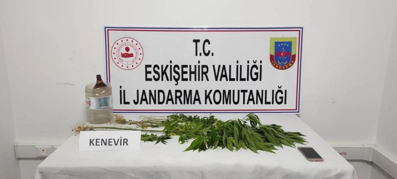 Eskişehir&#8217;de Mezarlığa Kenevir Eken Şahıs Yakalandı