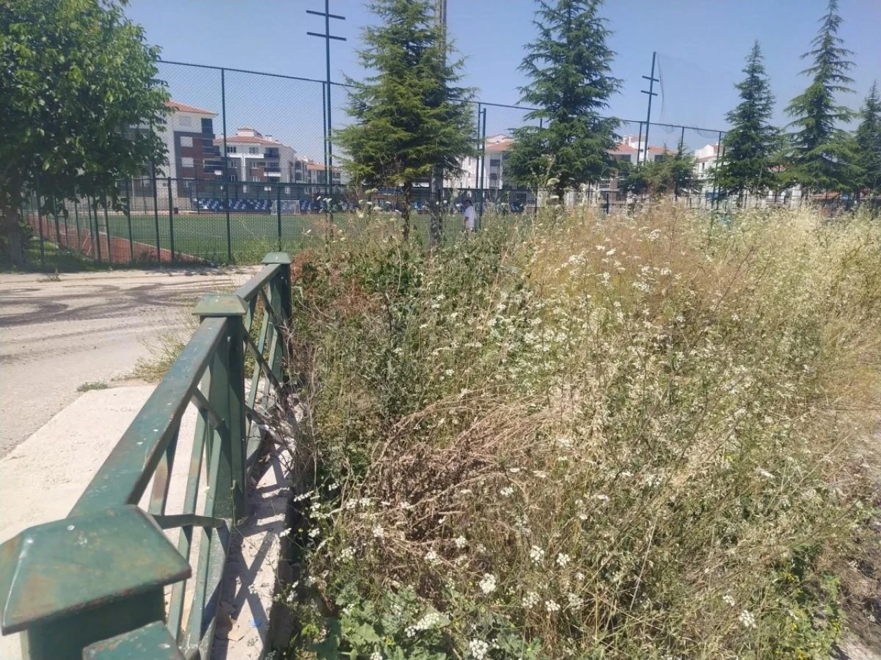 Eskişehir&#8217;deki Uzun Yabani Otlar Halkı Endişelendiriyor