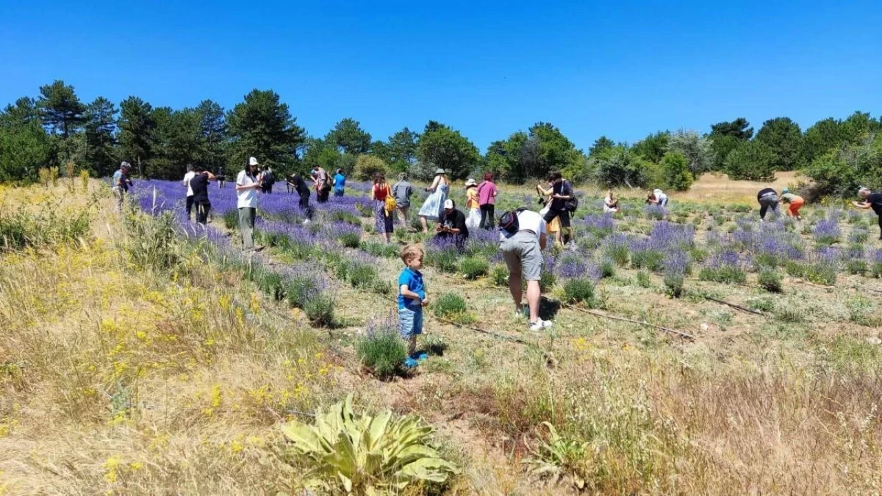 Eskişehir’deki O Yer Fotoğrafçıların Favorisi Oldu