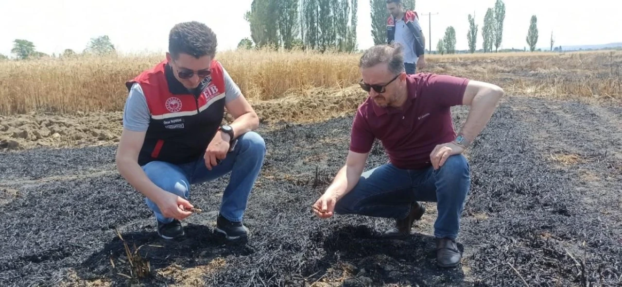 Tepebaşı İlçe Tarım Müdürlüğü’nden Yangın İncelemesi