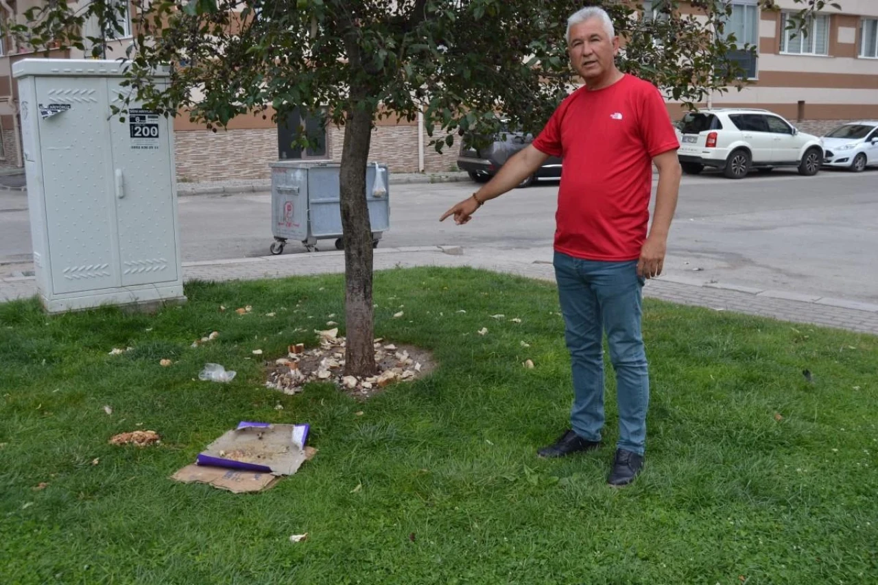 Eskişehir&#8217;de Muhtar Hayvan Besleme Şeklinden Şikayetçi