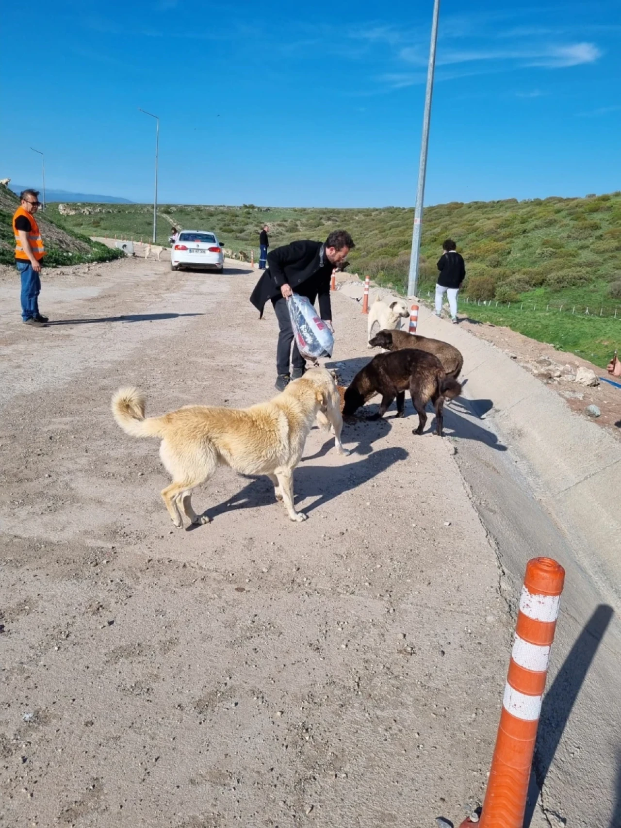 Eskişehir&#8217;de Sokak Hayvanları için Sosyal Sorumluluk Projesi