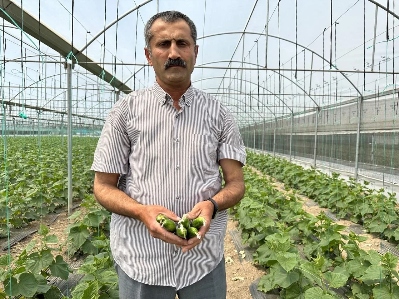 Eskişehir&#8217;de Sebze Fiyatları Düşecek!