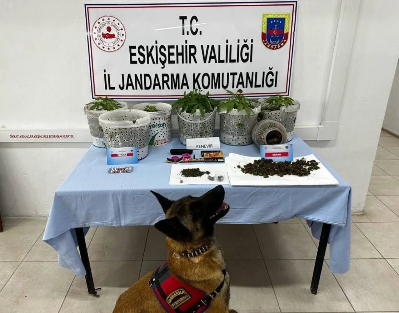 Eskişehir&#8217;de Uyuşturucuları Jandarma Köpeği Akça Yakaladı