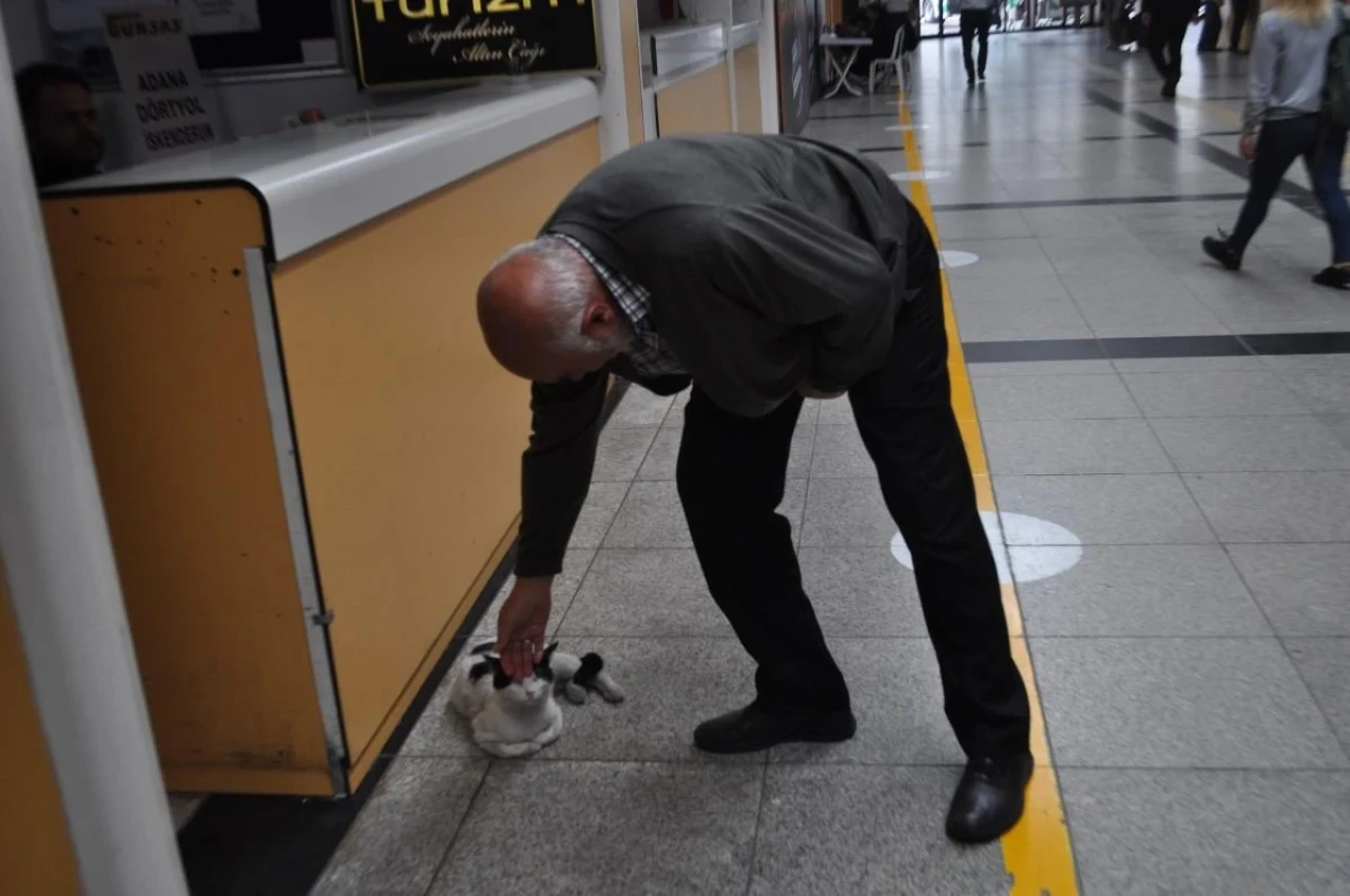 Eskişehir&#8217;de Otogarı Yuva Haline Getiren &#8216;Paskal&#8217;