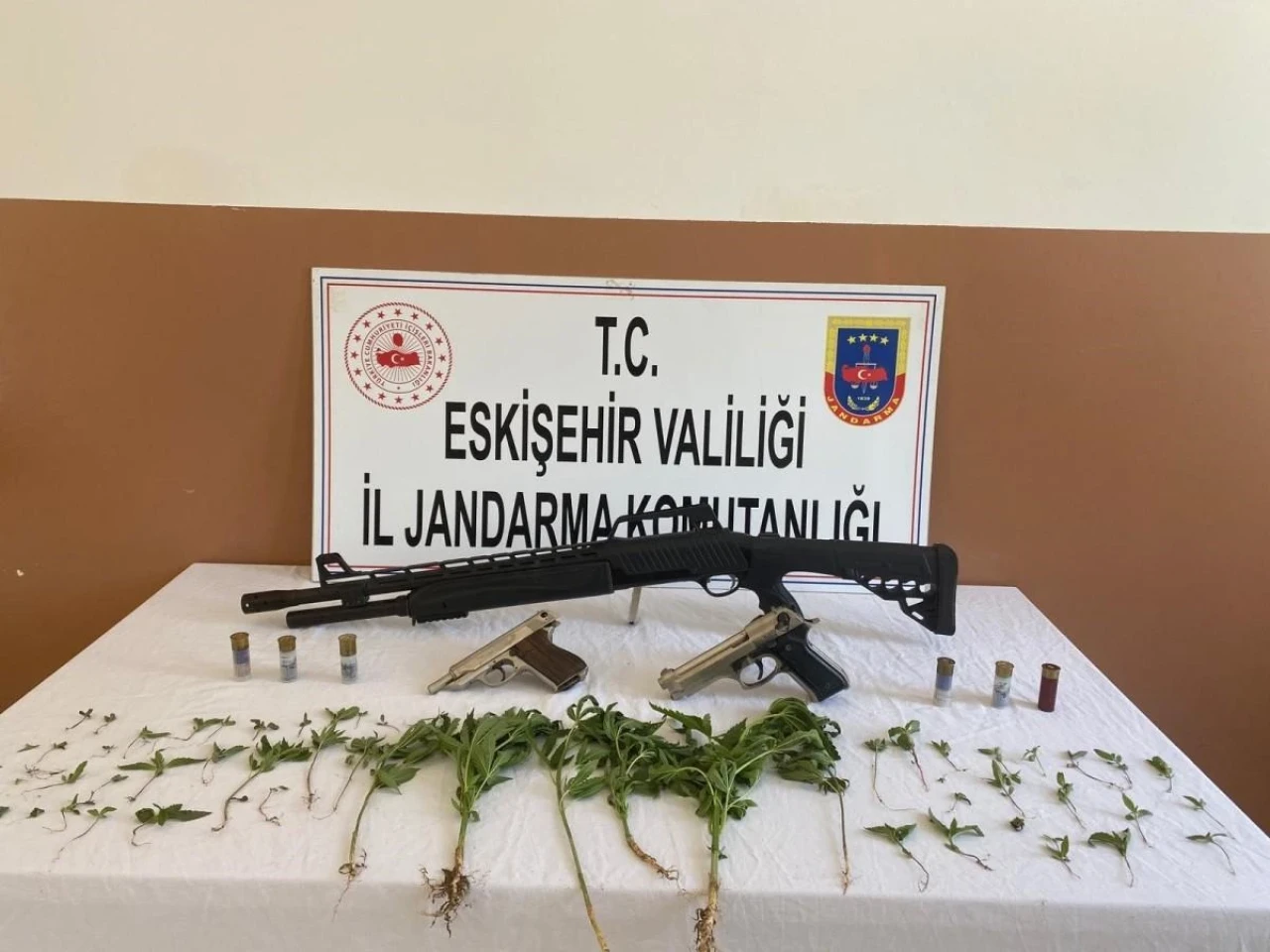 Eskişehir&#8217;de Yasa Dışı Esrar Yetiştiren Şahıs Bulundu