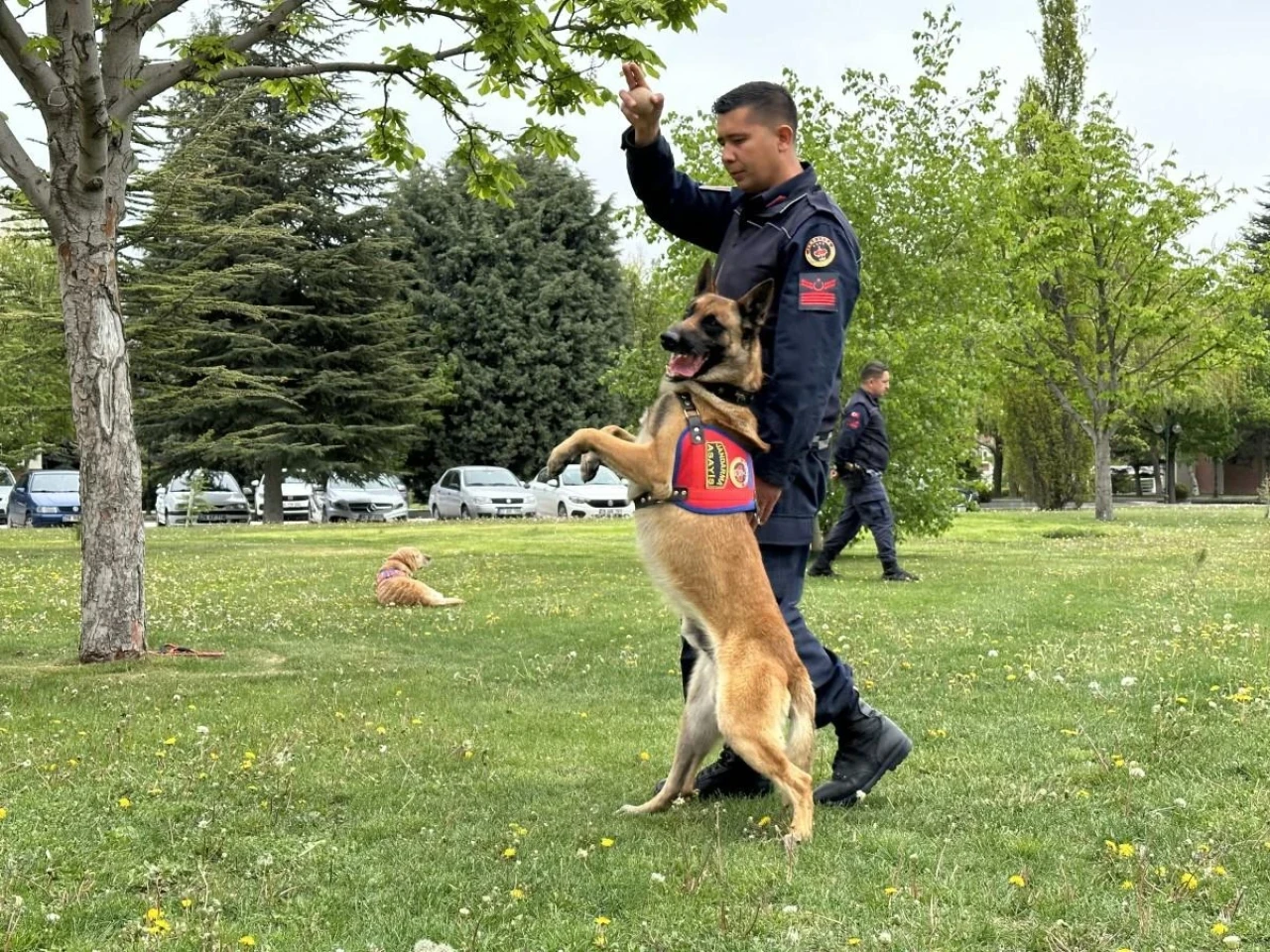 Eskişehir&#8217;de Jandarmanın Sevimli Köpekleri Şov Yaptı