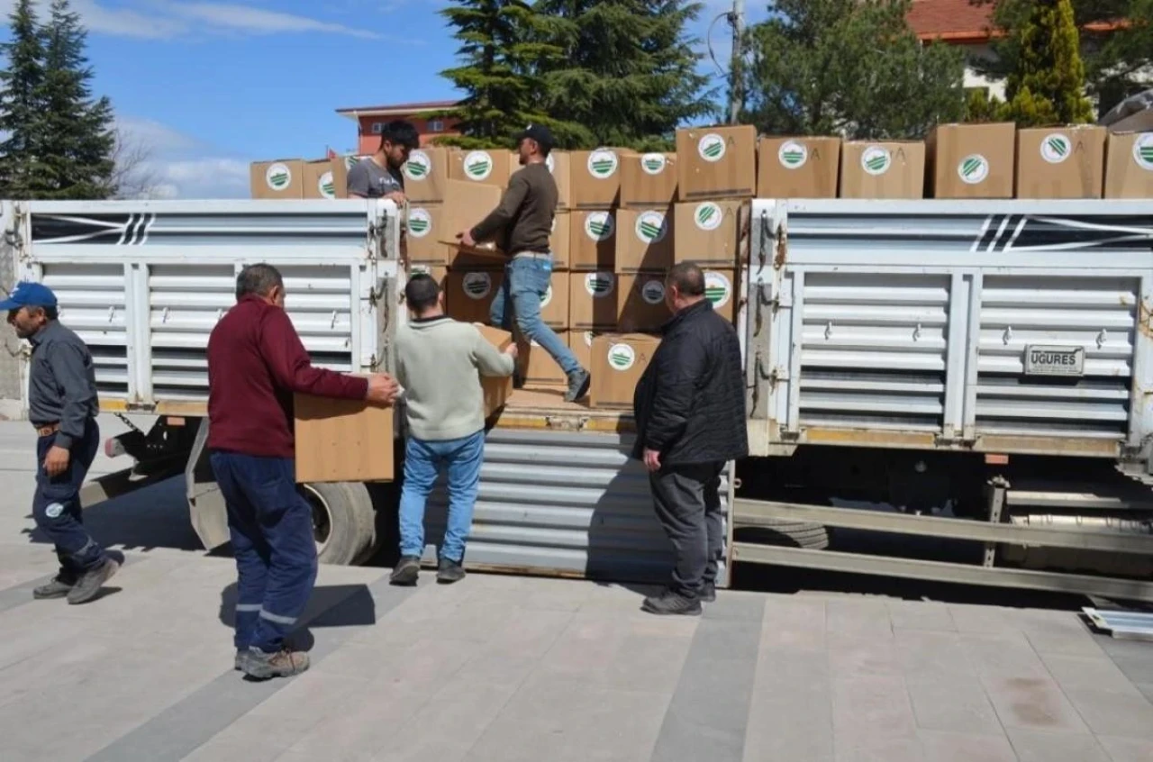 Eskişehir Beylikova Belediyesi’nden Deprem Yardımı