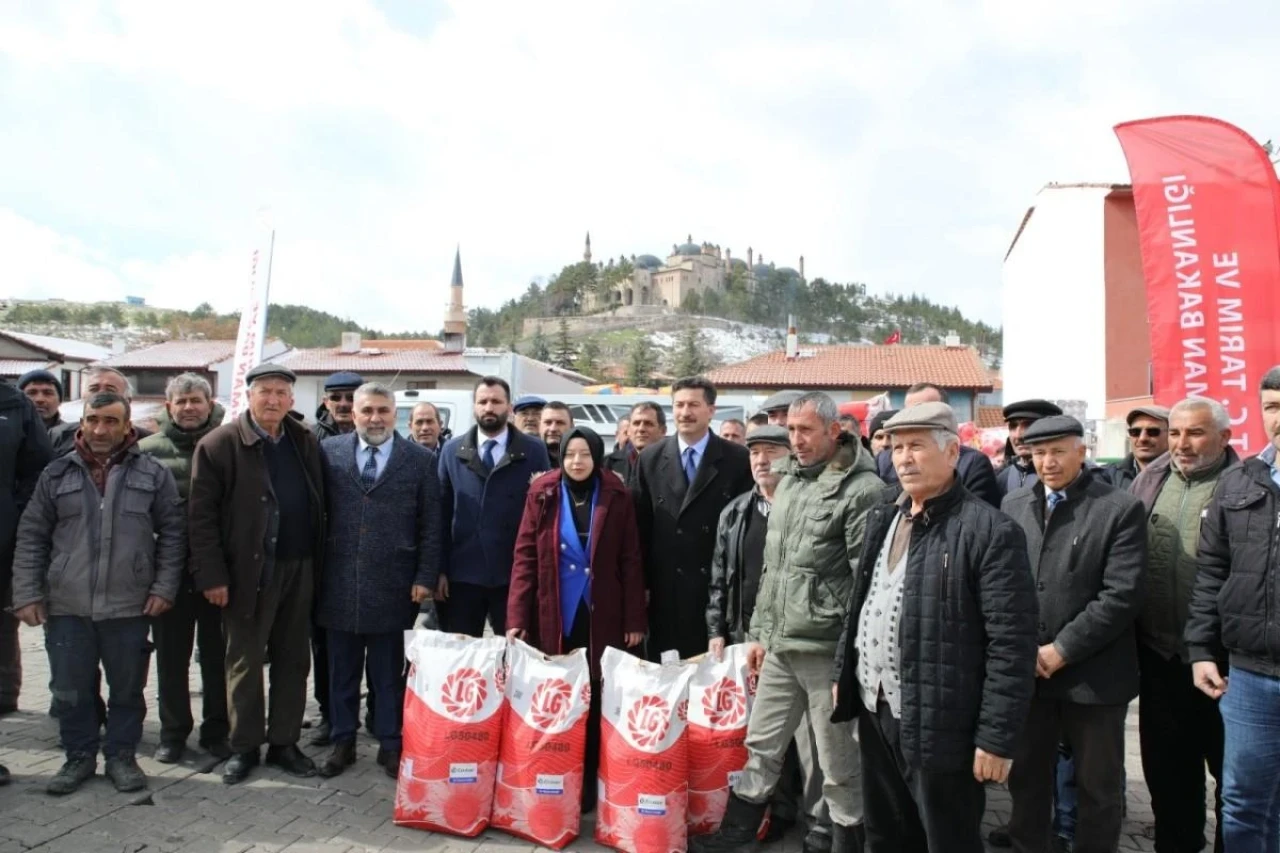 Eskişehir Seyitgazi’de Tarlalar Ayçiçeği ile Renklenecek