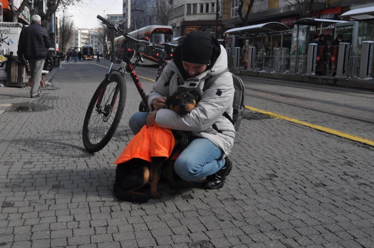 Eskişehir&#8217;de Turuncu Hırkalı Kayıp Köpek