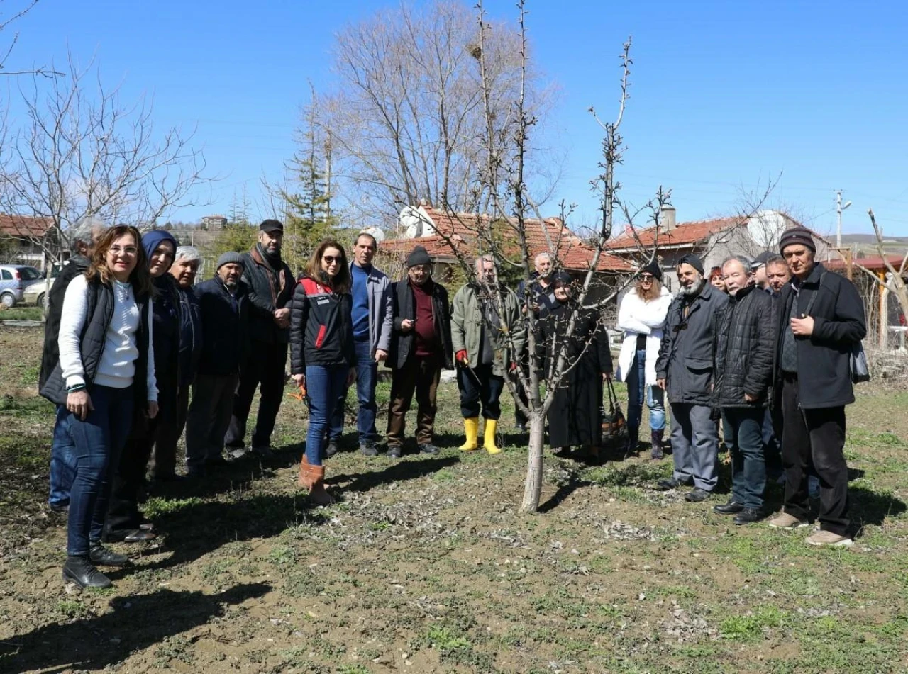 Eskişehir&#8217;deki Çiftçilere Meyve Ağaçlarında Aşılama Kursu