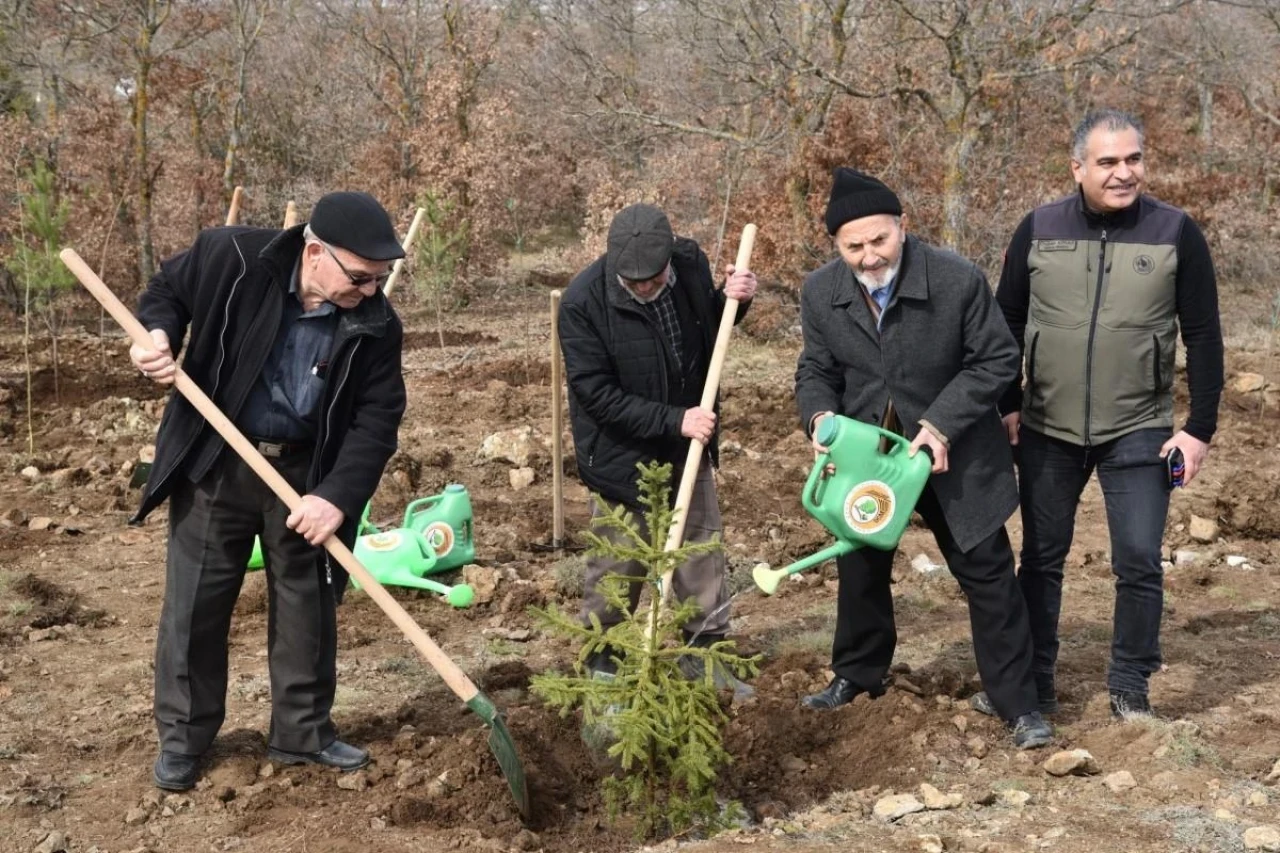 Üç Emekliden Fidan Bağışı