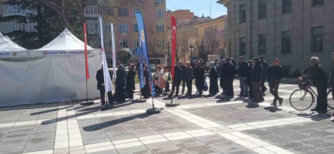 Valilik Binası Önünde Vatandaşlara fidan dağıtıldı.