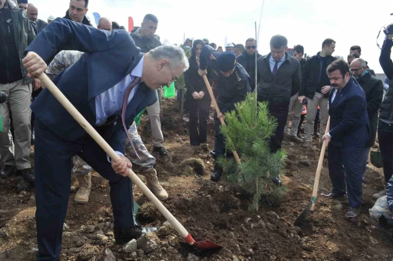 6 Şubat Deprem Şehitleri için İnönü’de 2 bin fidan dikildi.