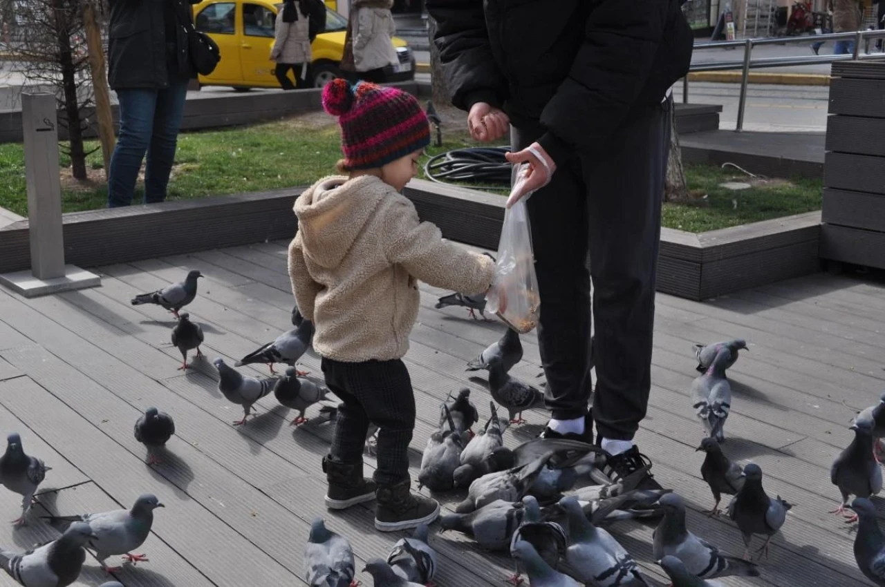 Küçük Hayvansever Görenleri Gülümsetti