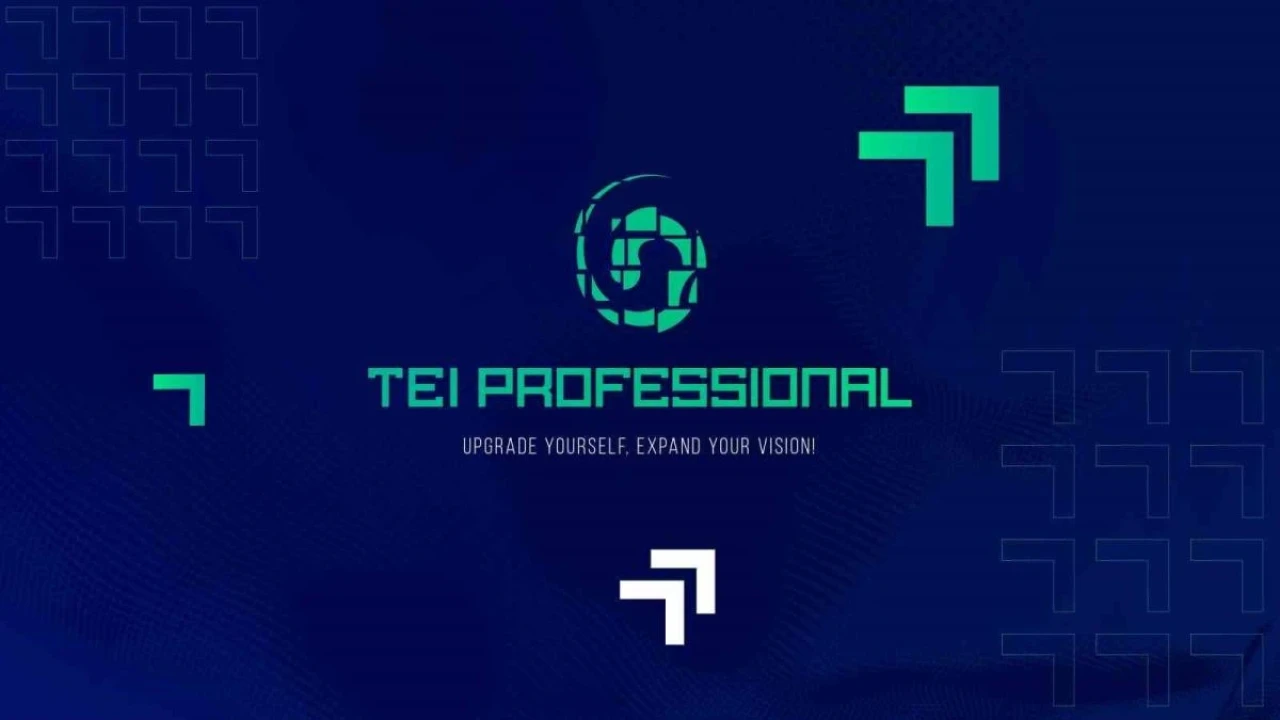 TEI’den Çevrim İçi &#8220;TEI Professional&#8221; Programı