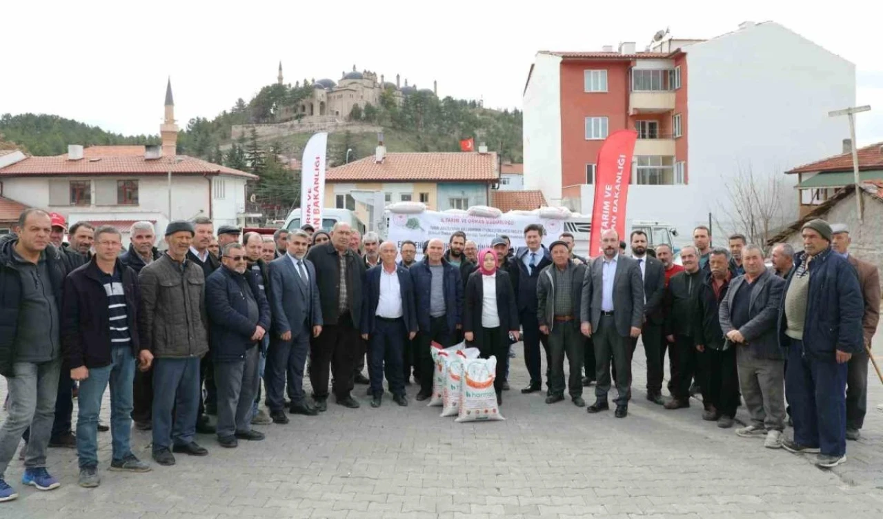 Seyitgazi Üreticisi Azkan Çeşidi Tohumlarına Kavuştu