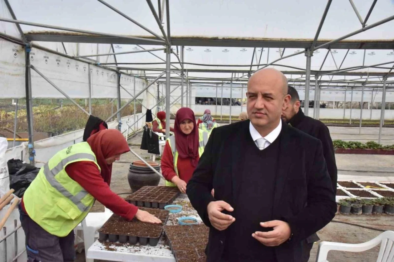 Yüz binlerce bitkiyi gözü gibi bakarak büyütüyorlar