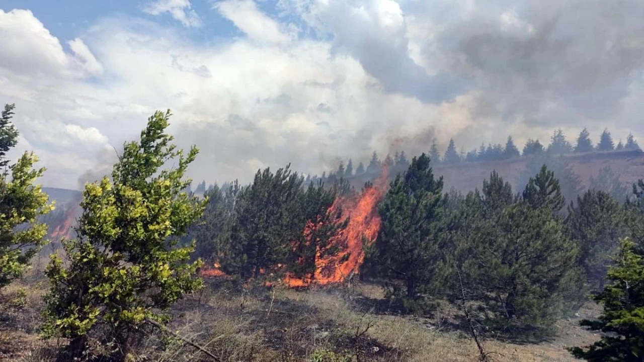 Eskişehir-Kütahya Kara Yolunda Anız Yangını Çıktı