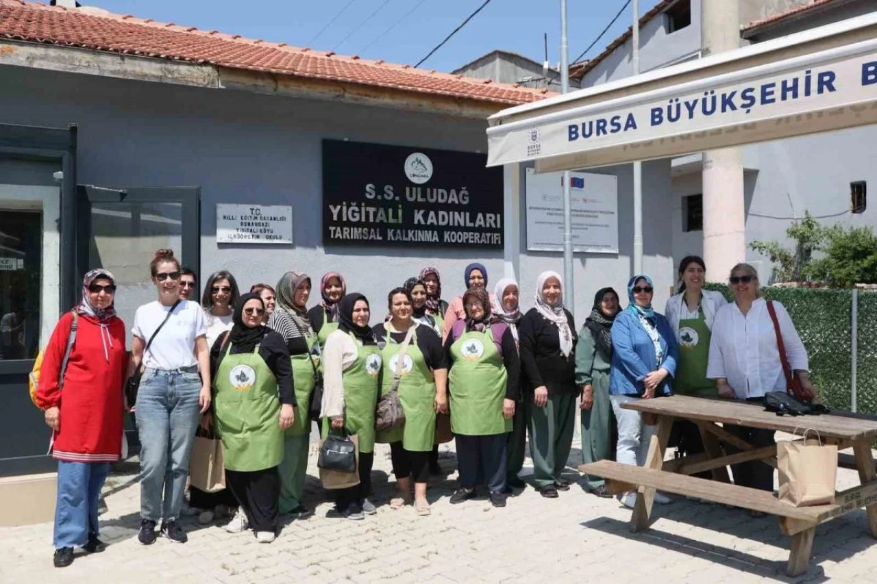 Sivrihisar'da 'Arazi Tahribatını Dengeleme Projesi’ Devam Ediyor