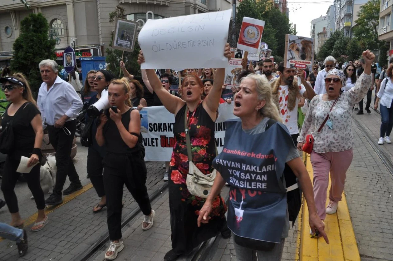 Eskişehir'de Hayvanlar İçin Yapılan Yürüyüşte Kavga Çıktı