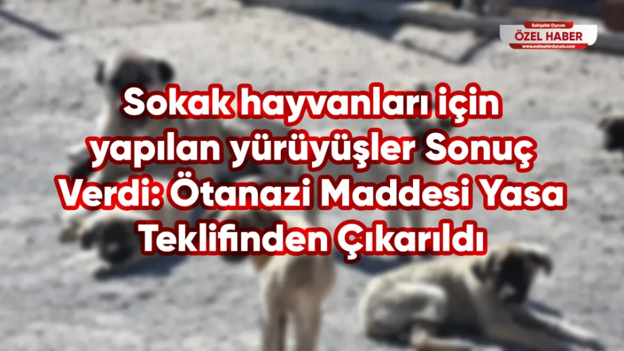 Sokak hayvanları için yapılan yürüyüşler Sonuç Verdi: Ötanazi Maddesi Yasa Teklifinden Çıkarıldı