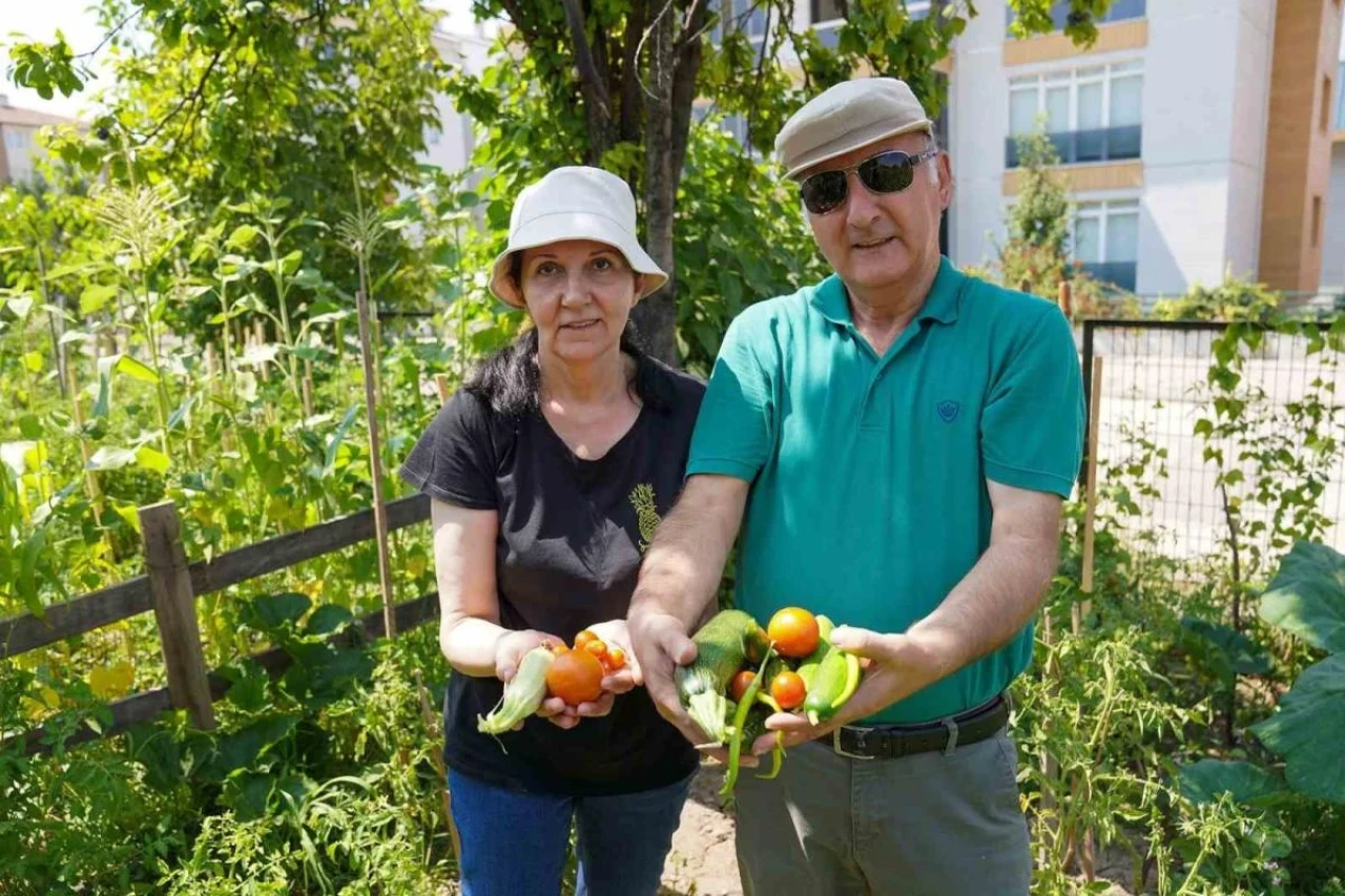 Gönüllü Bahçesinde 26 Çeşit Ürün Yetiştirdiler