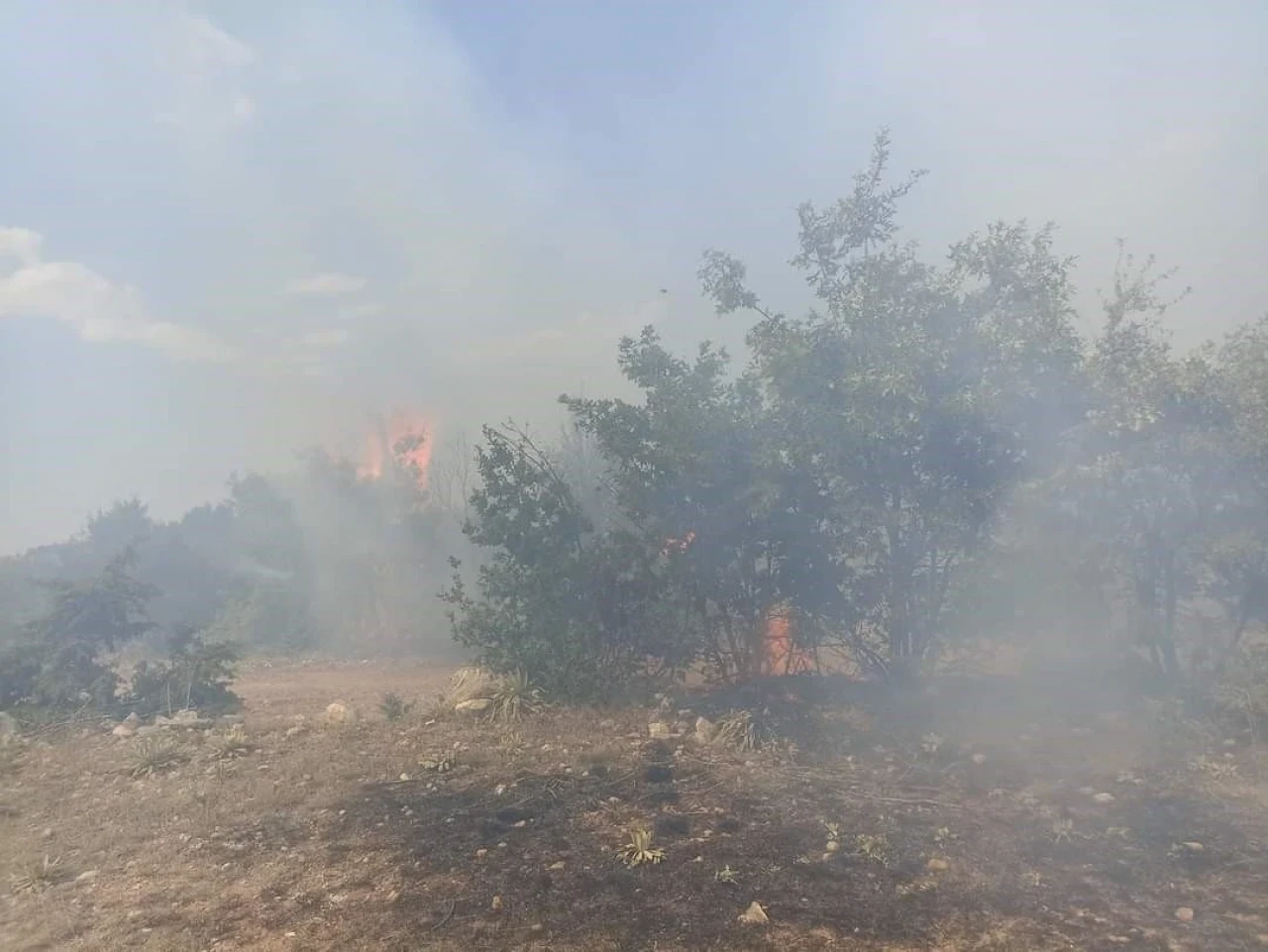 Eskişehir'in Han İlçesi'ndeki Yangın Yayılmadan Söndürüldü