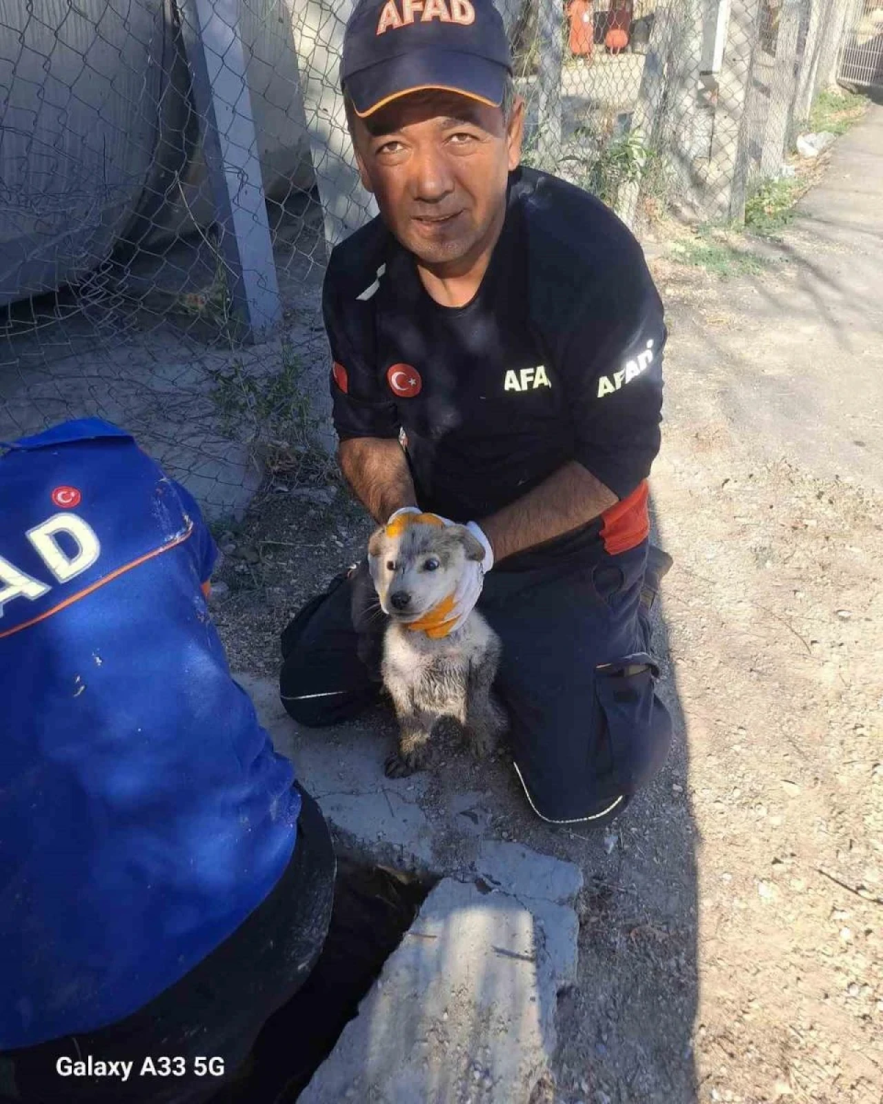 Dört Metrelik Çukura Düşen Yavru Köpek Kurtarıldı