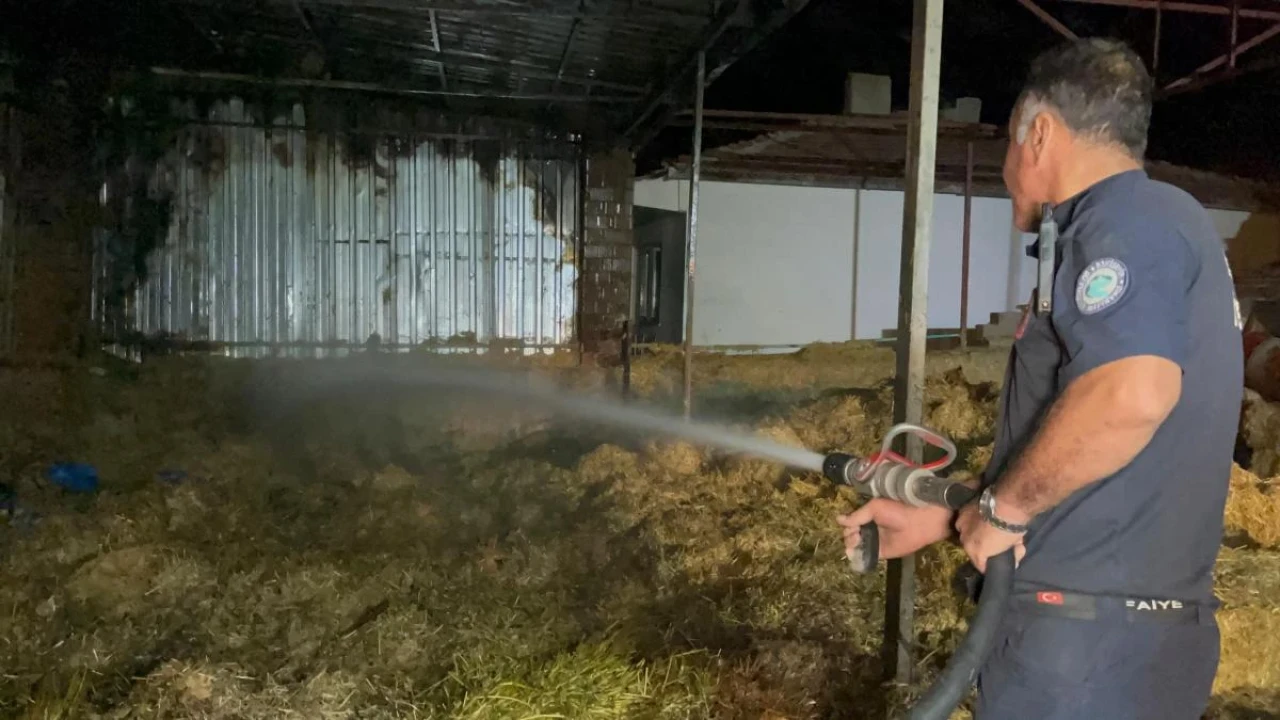 Eskişehir'de Samanlıkta Büyük Yangın: 2 Bin Balya ve Traktör Kül Oldu