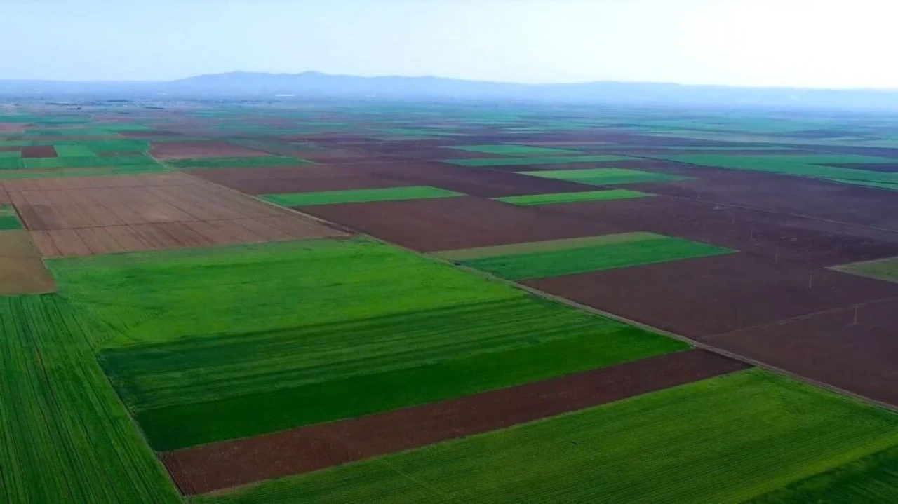 Alpu Ovası'nda Tehlike Çanları Çalıyor