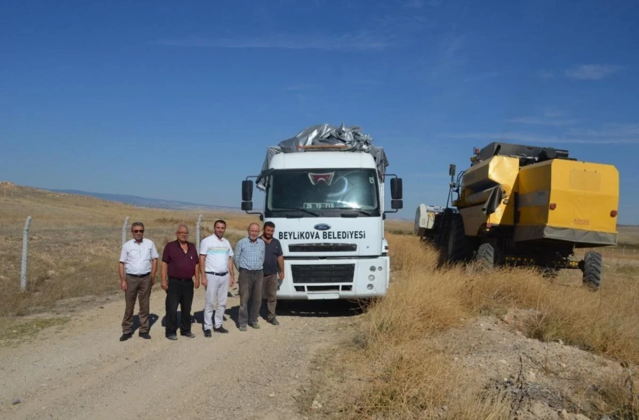 Beylikova'da Yağlık Ayçiçeği Hasadı Başladı