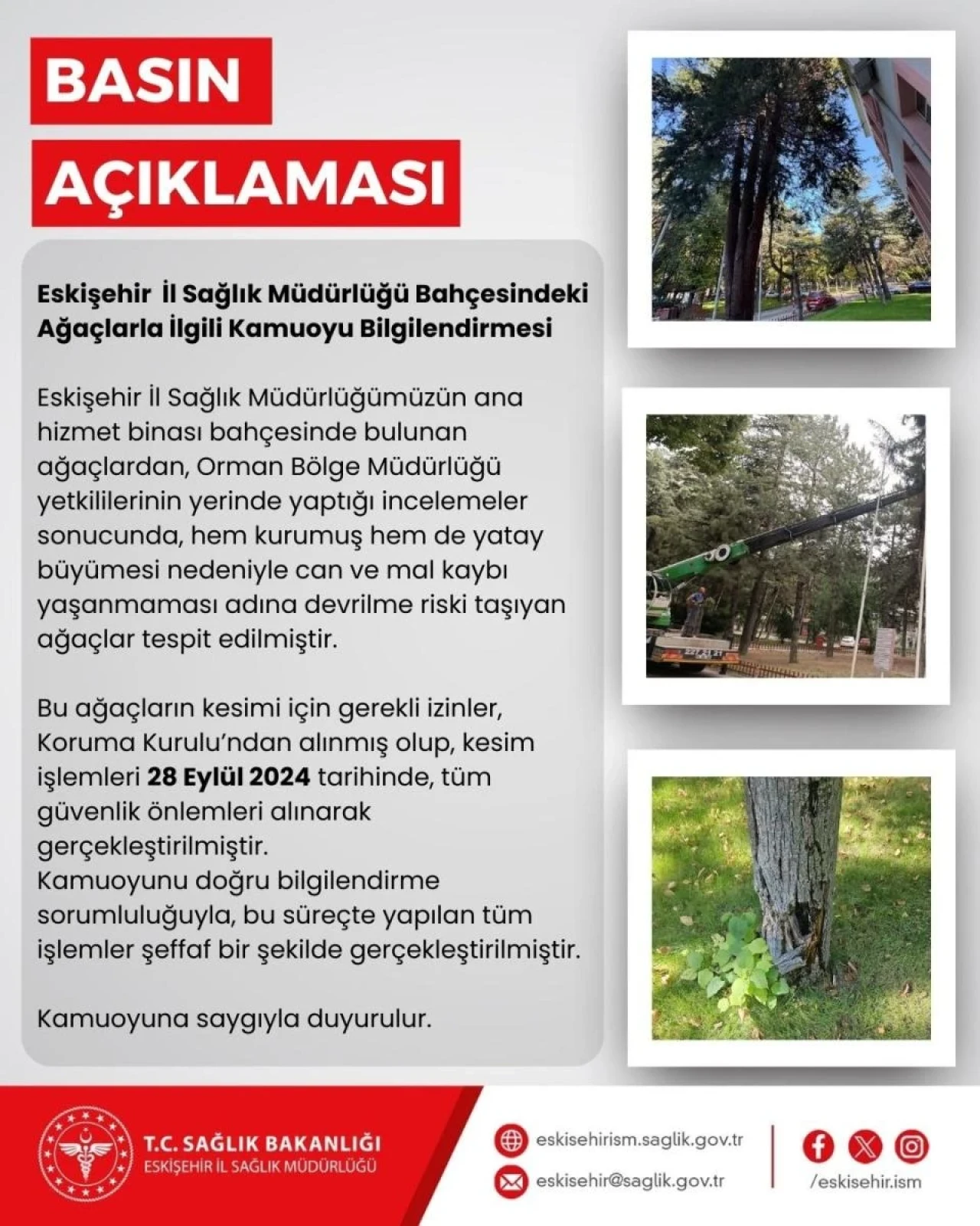 Eskişehir İl Sağlık Müdürlüğü'nden Ağaç Kesimi