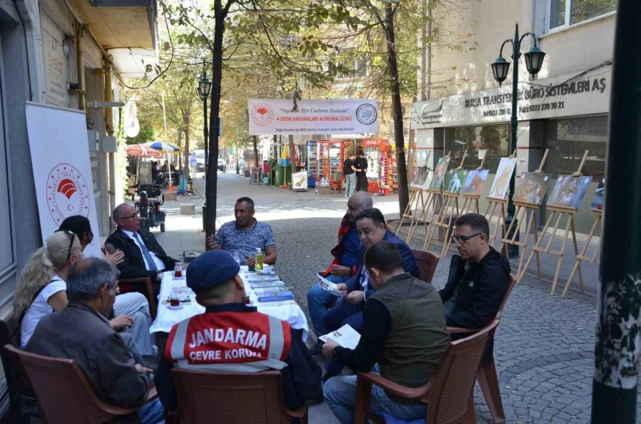 DKMP, Hayvanları Koruma Günü’nde vatandaşları bilgilendirdi