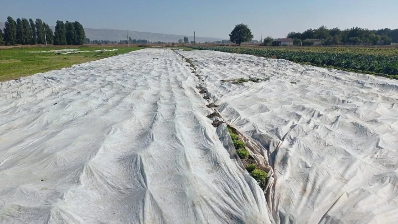 Çiftçiler Tarım Ürünlerini Soğuk Hava Şartlarından Branda İle Korudu