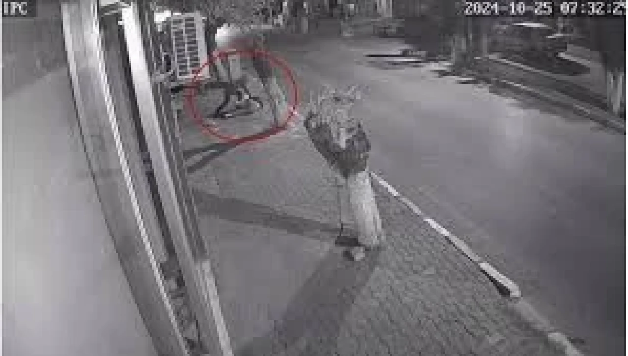 Takıntılı Komşu Genç Kızı Sokak Ortasında Boynundan Bıçakladı