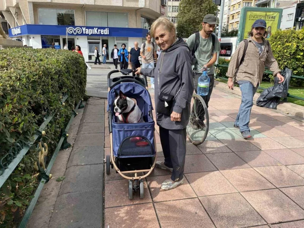 17 Kilo Ağırlığına Ulaşan Köpeğini Bebek Gibi Dolaştırıyor