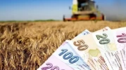 Çiftçilere Destek Ödemesi Başladı  Mı?