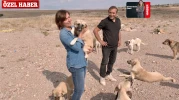 Sahada 2 ve arka planda binlerce kişiyle sokaktaki canlara hayat veriyorlar