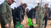 Eskişehir’de 11 Kasım’da Hem Ağaç Dikildi Hem Şehitler Anıldı