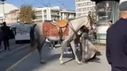 Şehir Merkezinde Gezdirilen Atlar Vatandaşların Dikkatini Çekti