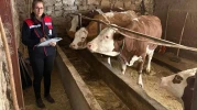 Hibe Desteği Alan Hayvancılık İşletmelerine Denetim Yapıldı