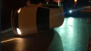Refüje Çıktı, Ağaca Çarptı, Kaçtı!