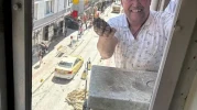 Cumhuriye Mahallesi’nde Balkon ve Pencereleri Arılar Bastı: Müdahale Arıcıdan Geldi