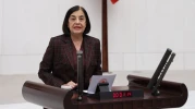 CHP'li Süllü: "İklim kanunu teklifini anlamak istiyorsan Alpu Ovası’na bak!"