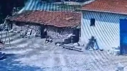 Eskişehir'de Ahır Yangını: 30 Küçükbaş Hayvan Son Anda Kurtarıldı İşte Detaylar...