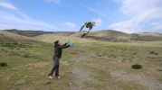 Midas, Akbabaların Uçuş Rekoru Kırarak 101 Bin Kilometreyi Geride Bıraktı!