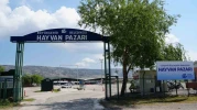Eskişehir hayvan pazarı Kurban Bayramı’na hazır